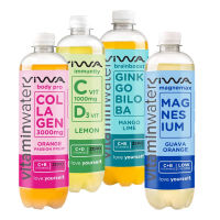 VIWA Vitaminwater 600 ml