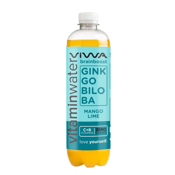 VIWA Vitaminwater 600 ml Ginko-Biloba / Mango-Lime